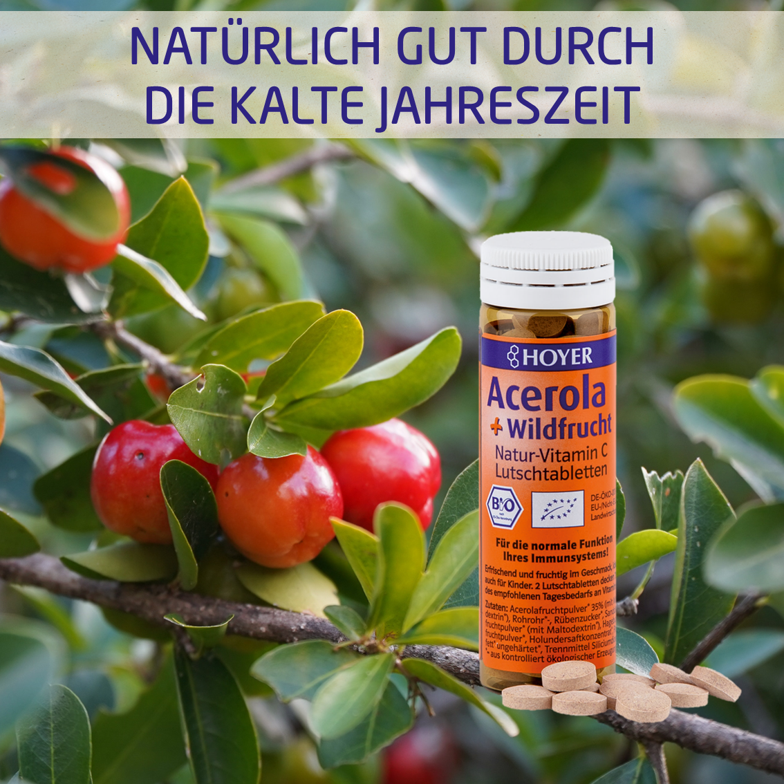 Acerola + Wildfrucht Lutschtabletten