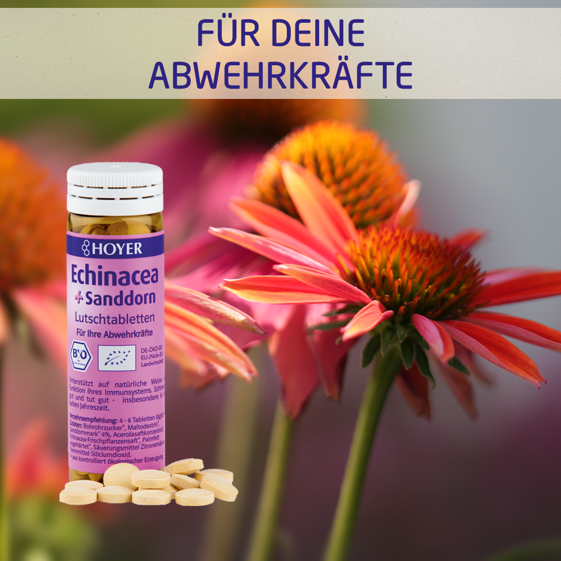 Echinacea + Sanddorn Lutschtabletten