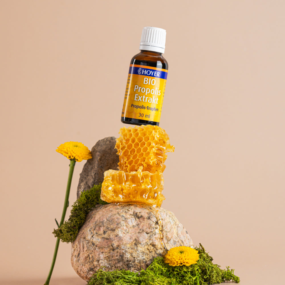 Bio Propolis Extrakt