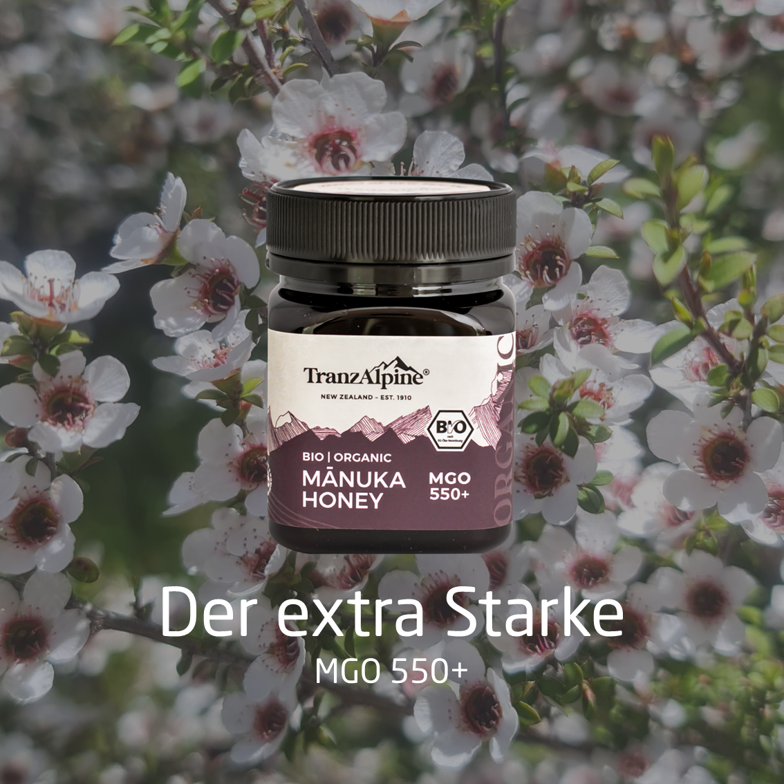 Bio Manuka Honig MGO 550+ TranzAlpine