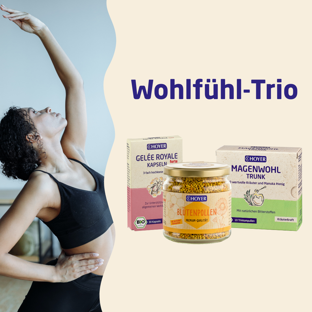 Wohlfühl-Trio
