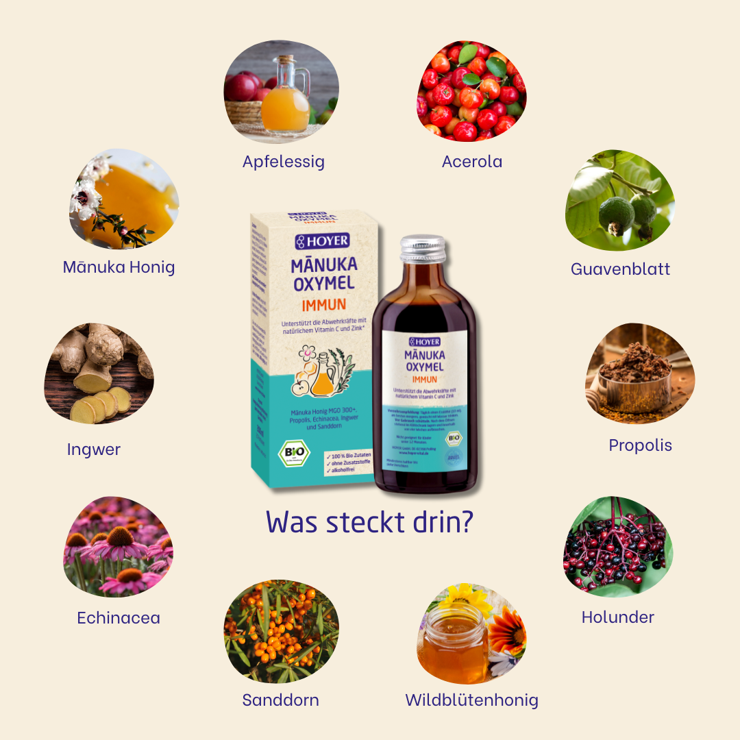 Manuka Oxymel Immun